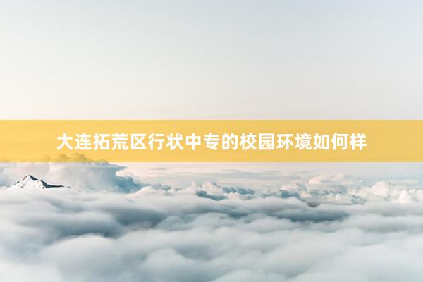 大连拓荒区行状中专的校园环境如何样