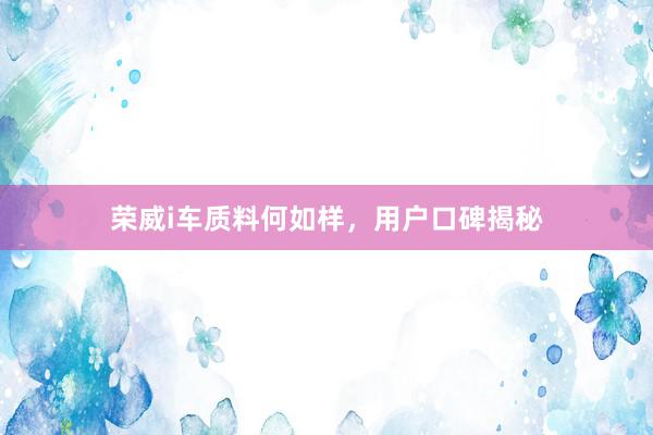 荣威i车质料何如样，用户口碑揭秘