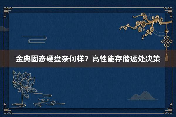 金典固态硬盘奈何样？高性能存储惩处决策